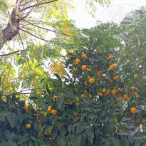 фото из отзыва ID 2740094