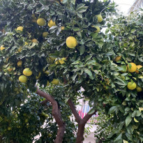 фото из отзыва ID 2740095