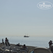 фото из отзыва ID 2740099