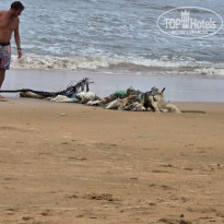 фото из отзыва ID 2740100