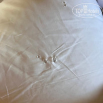 фото из отзыва ID 2740100