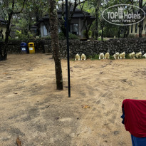 фото из отзыва ID 2740100