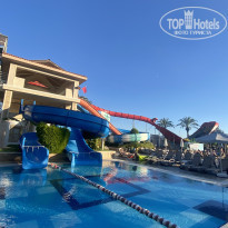 фото из отзыва ID 2740108