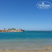 фото из отзыва ID 2740109