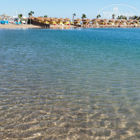 фото из отзыва ID 2740109