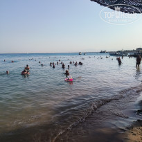 фото из отзыва ID 2740116