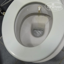 фото из отзыва ID 2740120