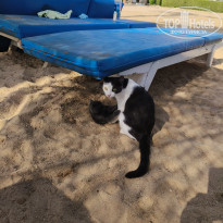 фото из отзыва ID 2740116