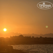 фото из отзыва ID 2740166