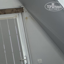 фото из отзыва ID 2740168