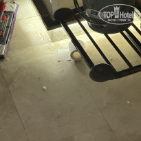 фото из отзыва ID 2740168