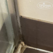 фото из отзыва ID 2740168