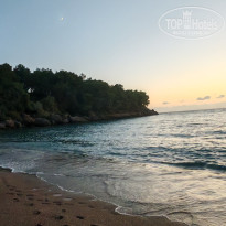 фото из отзыва ID 2740179