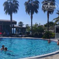 фото из отзыва ID 2740179