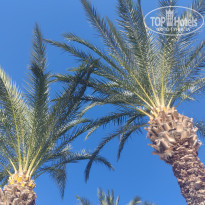 фото из отзыва ID 2740183