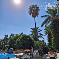 фото из отзыва ID 2740189