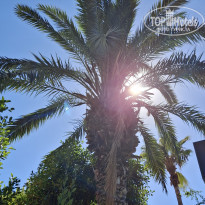 фото из отзыва ID 2740189