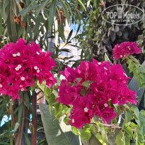 фото из отзыва ID 2740189