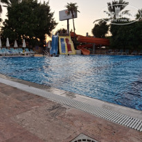 фото из отзыва ID 2740189