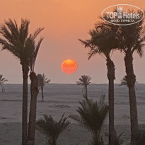 фото из отзыва ID 2740174