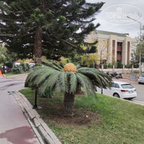 фото из отзыва ID 2740197