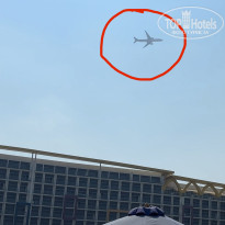 фото из отзыва ID 2740207