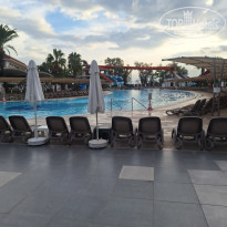 фото из отзыва ID 2740208