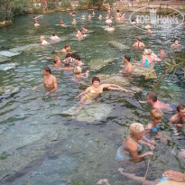 фото из отзыва ID 2740219