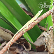 фото из отзыва ID 2740214