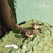 фото из отзыва ID 2740214