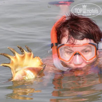 фото из отзыва ID 2740230