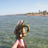 фото из отзыва ID 2740230