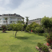 фото из отзыва ID 2740233