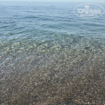 фото из отзыва ID 2740233