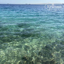 фото из отзыва ID 2740258