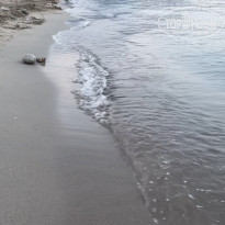 фото из отзыва ID 2740254