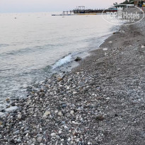 фото из отзыва ID 2740254