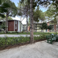 фото из отзыва ID 2740254