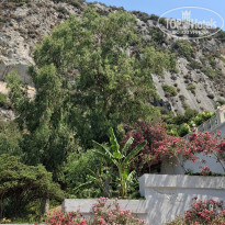 фото из отзыва ID 2740243