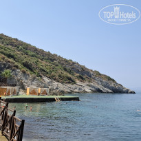 фото из отзыва ID 2740243