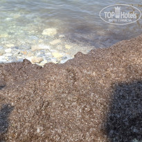 фото из отзыва ID 2740243