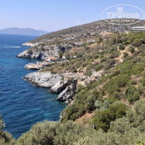 фото из отзыва ID 2740243