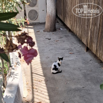 фото из отзыва ID 2740243