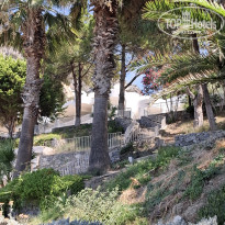 фото из отзыва ID 2740243