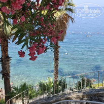 фото из отзыва ID 2740243