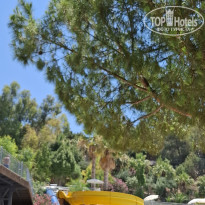 фото из отзыва ID 2740243