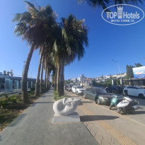 фото из отзыва ID 2740243