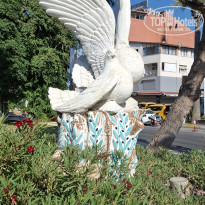 фото из отзыва ID 2740243