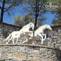 фото из отзыва ID 2740243