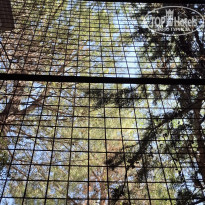 фото из отзыва ID 2740243